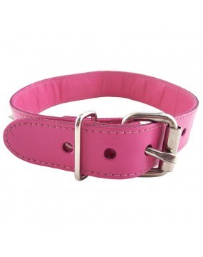 Rouge Garments Pink Studded ORing Studded Collar